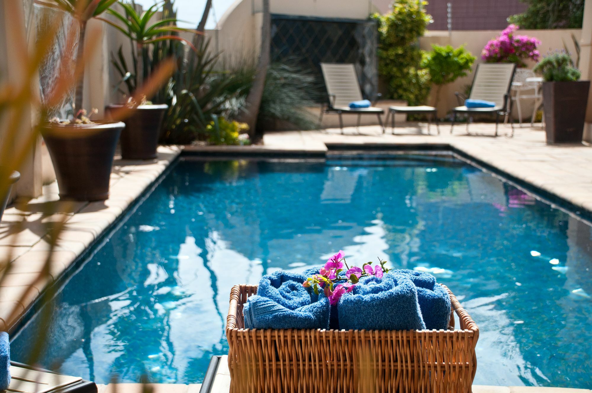 Cape Flame Guest House Port Elizabeth Exterior photo